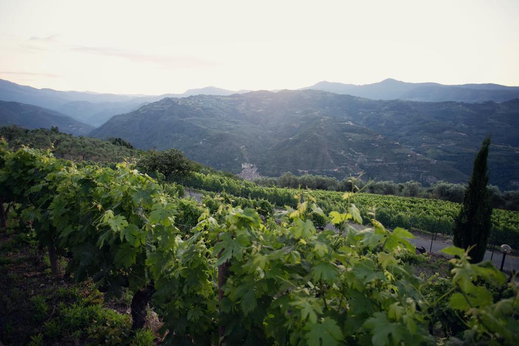 Terre Bianche Appartamenti Dolceacqua Luaran gambar